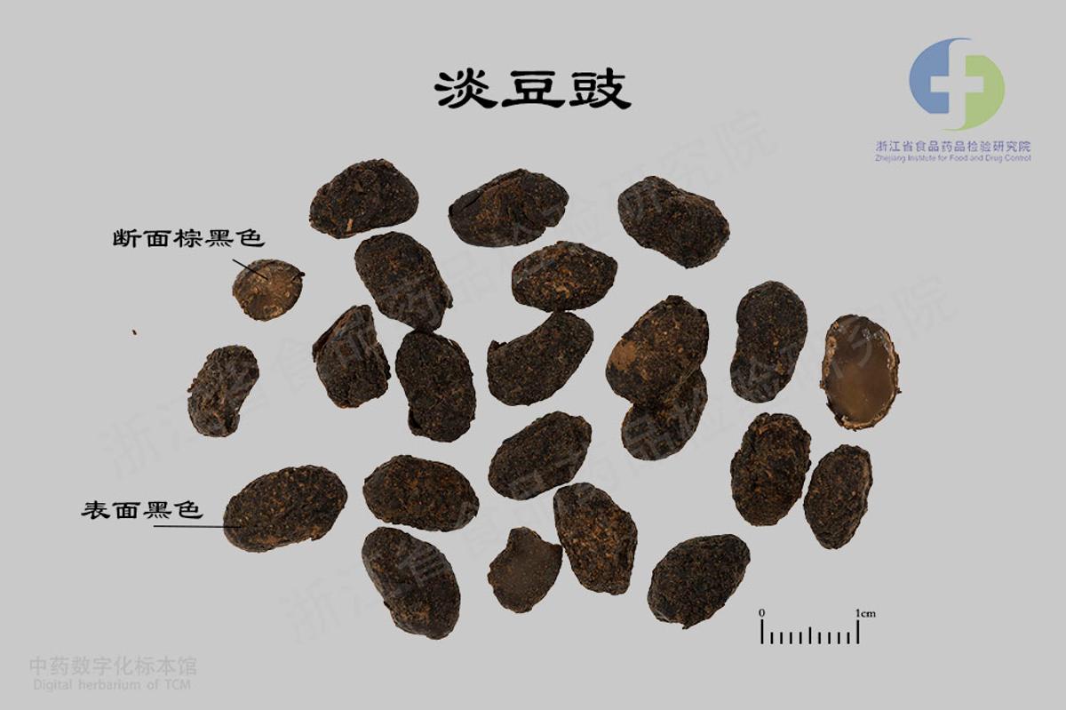淡豆豉 标本影像
