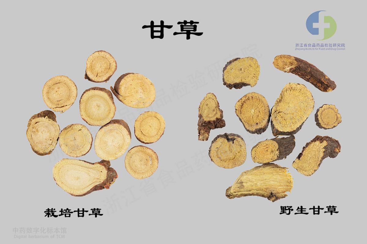 甘草 标本影像