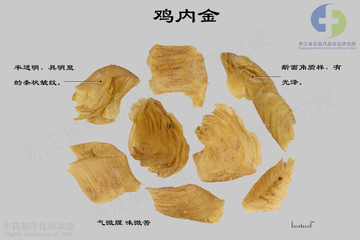 鸡内金 标本影像