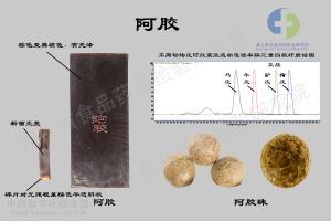 阿胶 标本图
