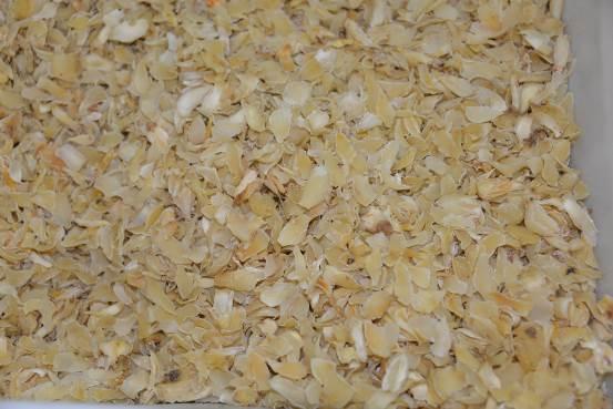 百合 药材性状图鉴 资料图