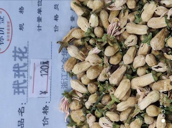 代代花 药材性状图鉴 资料图