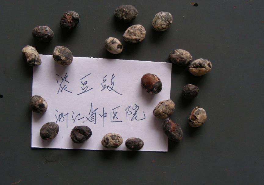 淡豆豉 药材性状图鉴 资料图