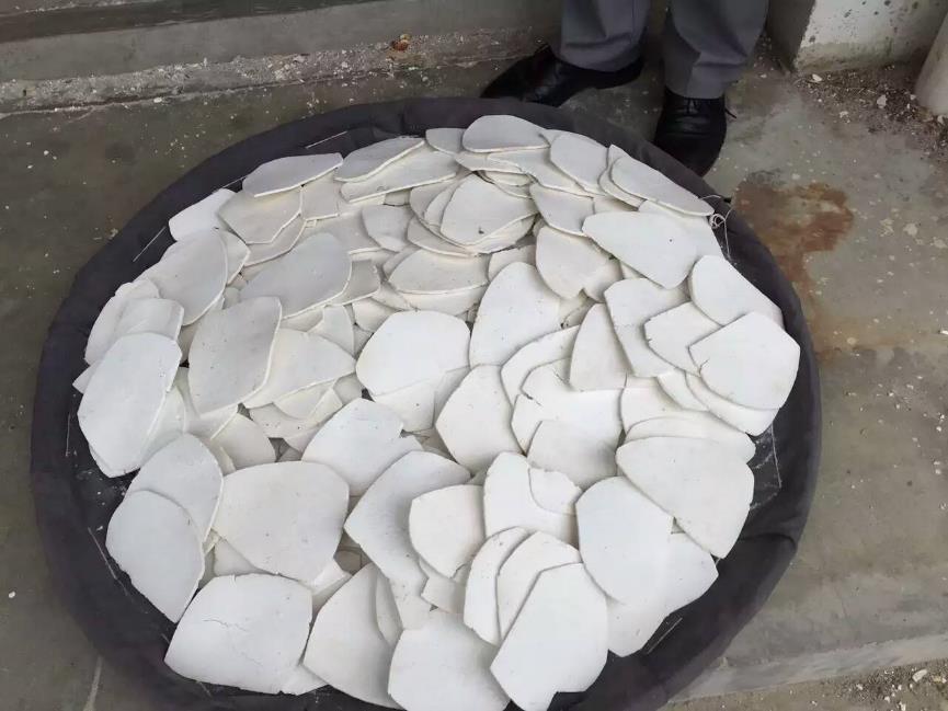 茯苓 药材性状图鉴 资料图
