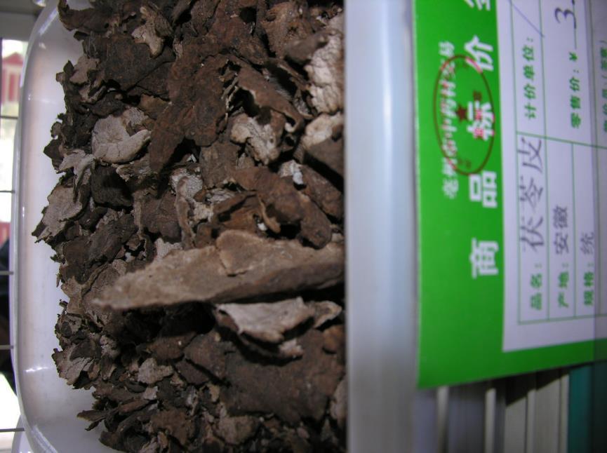 茯苓 药材性状图鉴 资料图