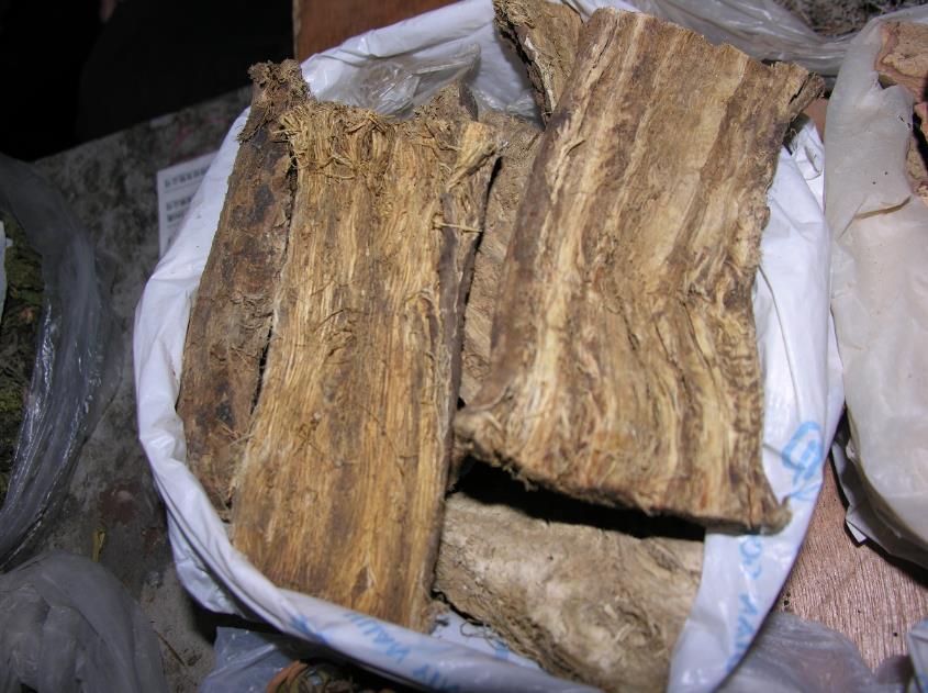 葛根 药材性状图鉴 资料图