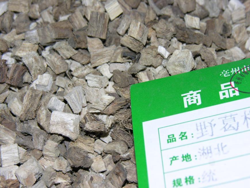 葛根 药材性状图鉴 资料图