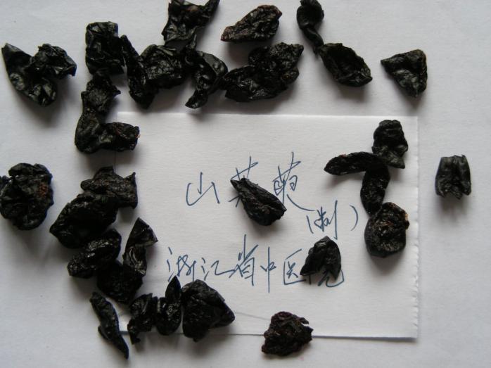 山茱萸 药材性状图鉴 资料图
