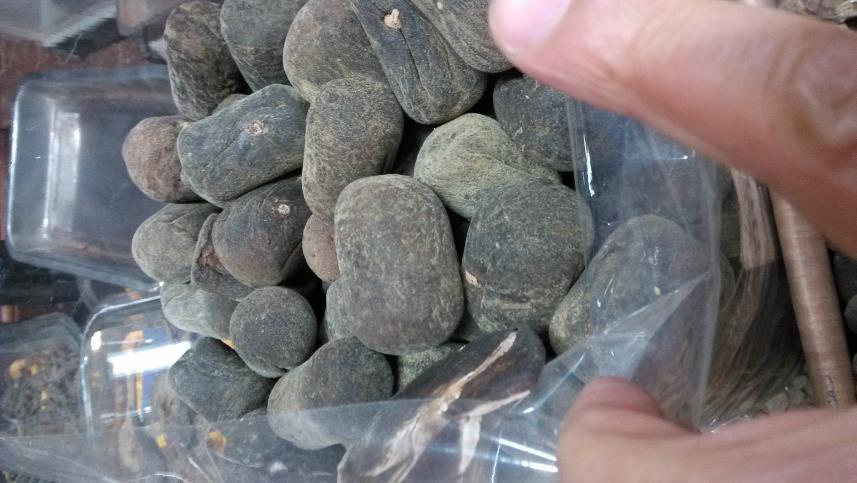 化橘红 药材性状图鉴 资料图