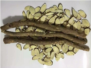 黄芪 药材性状图鉴 资料图