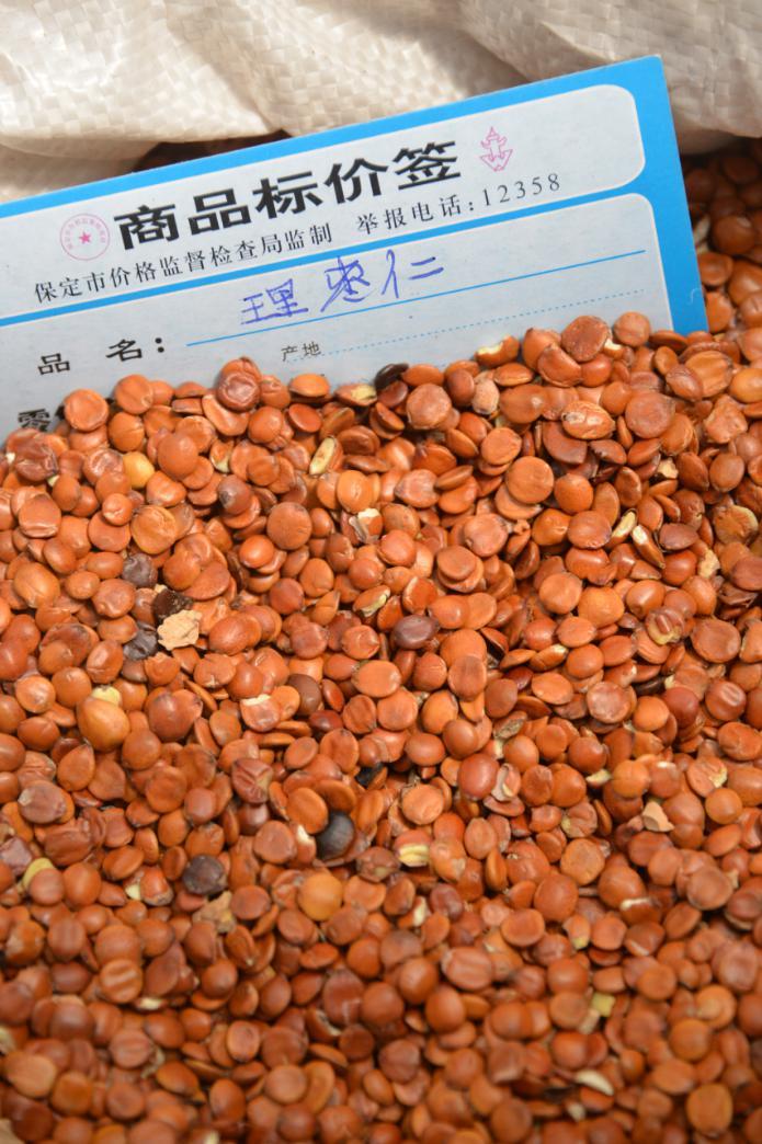 酸枣仁 药材性状图鉴 资料图
