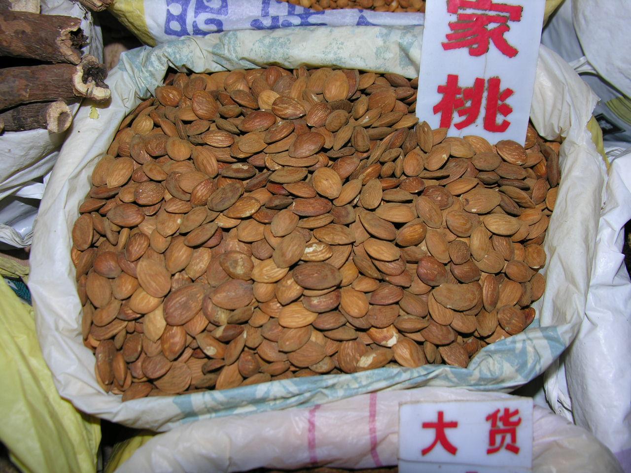 桃仁 药材性状图鉴 资料图