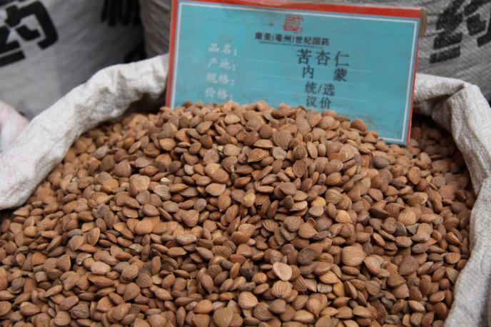 桃仁 药材性状图鉴 资料图