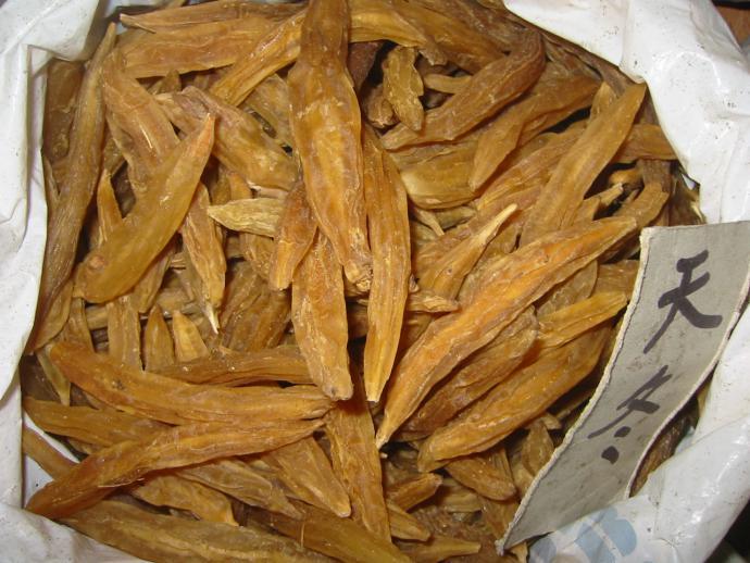 天冬 药材性状图鉴 资料图