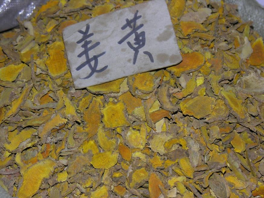 姜黄 药材性状图鉴 资料图