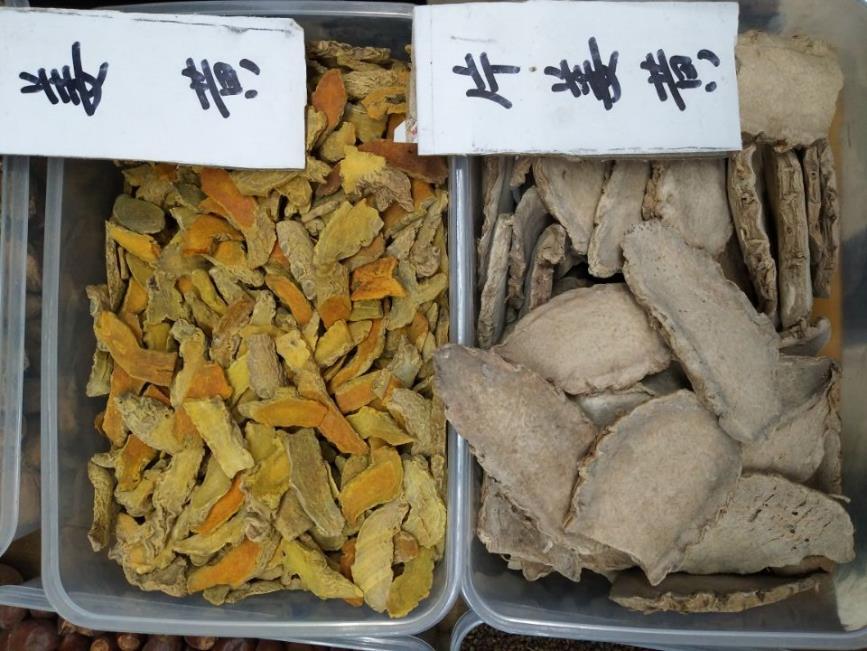 姜黄 药材性状图鉴 资料图