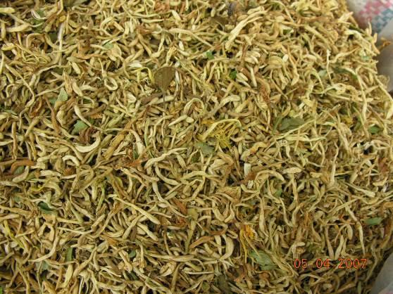 金银花 药材性状图鉴 资料图