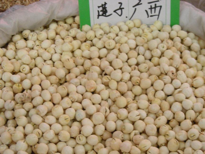 莲子 药材性状图鉴 资料图