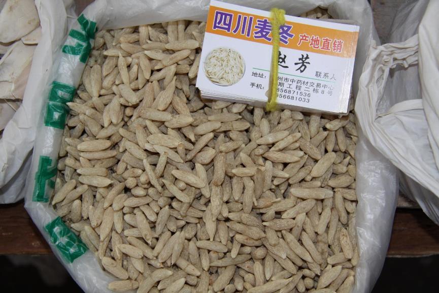 麦冬 药材性状图鉴 资料图
