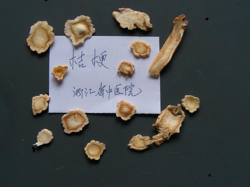 桔梗 药材性状图鉴 资料图