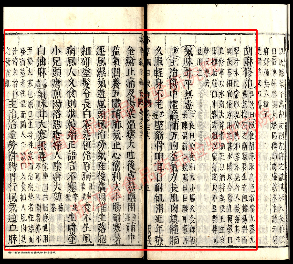 黑芝麻 明-《本草纲目》 资料图