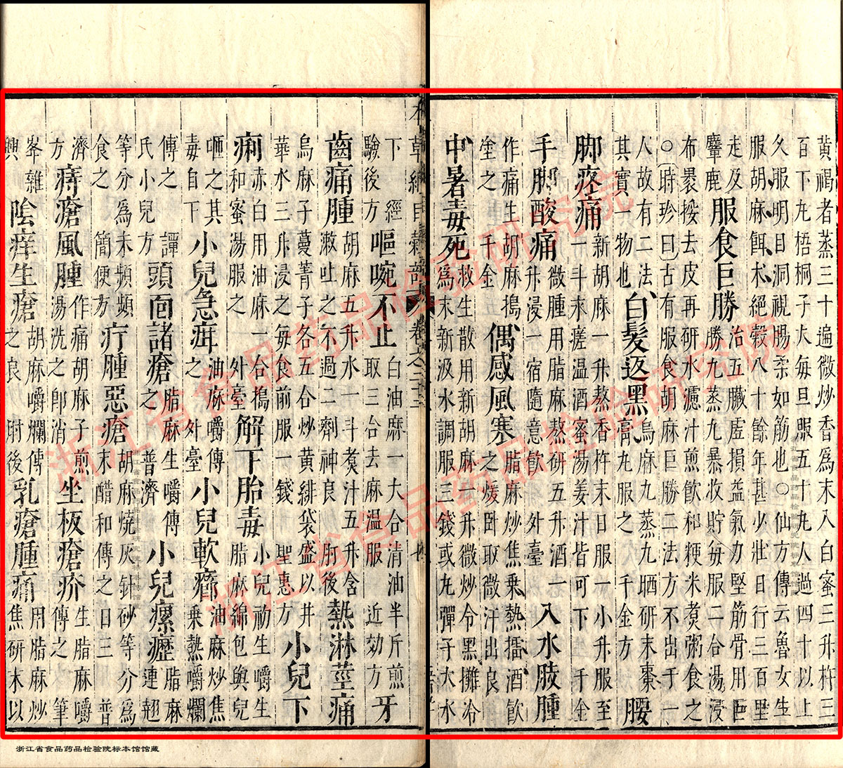 黑芝麻 明-《本草纲目》 资料图
