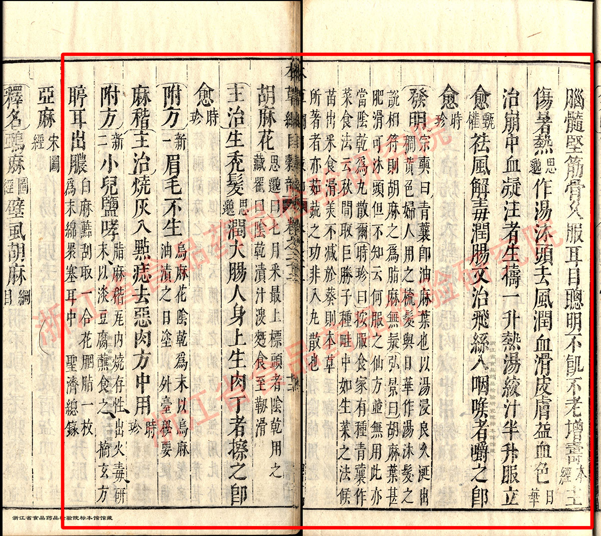 黑芝麻 明-《本草纲目》 资料图