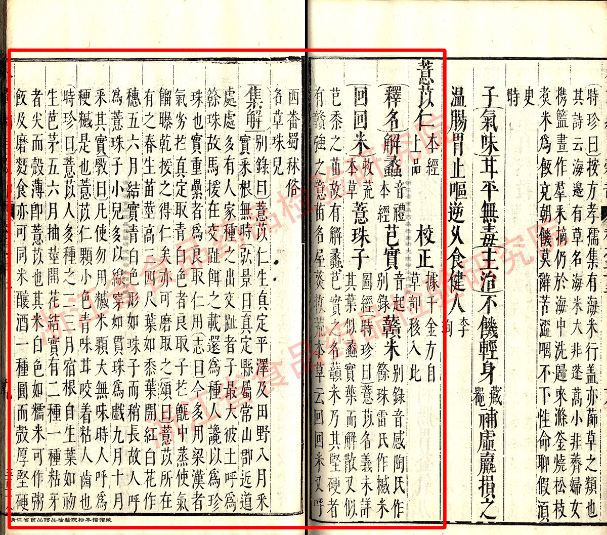 薏苡仁 明 -《本草纲目》 资料图