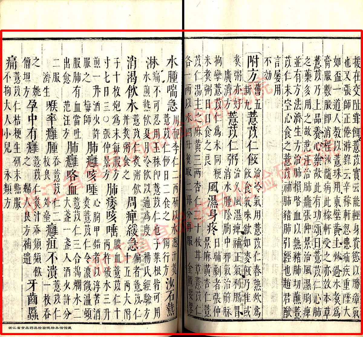薏苡仁 明 -《本草纲目》 资料图