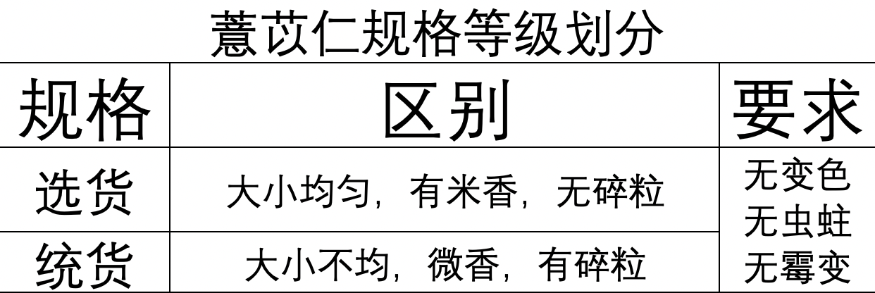 薏苡仁 药材 资料图