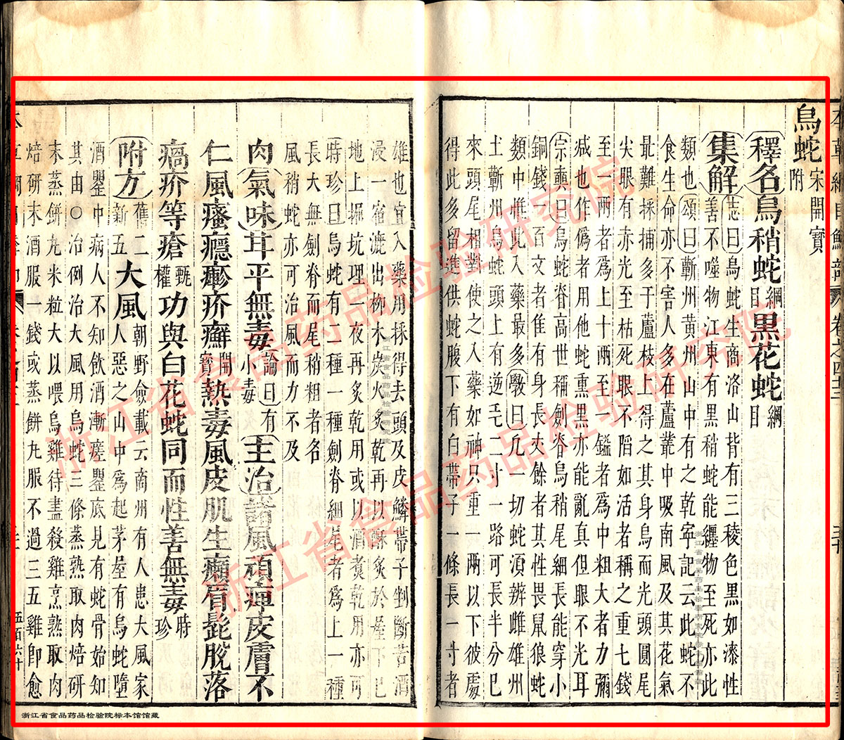 乌梢蛇 明-《本草纲目》 资料图