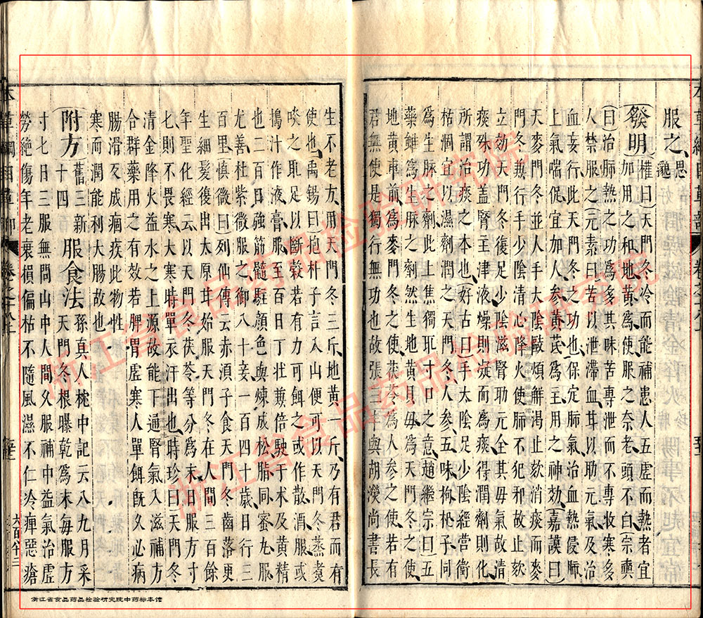 天冬 明 《本草纲目》 资料图