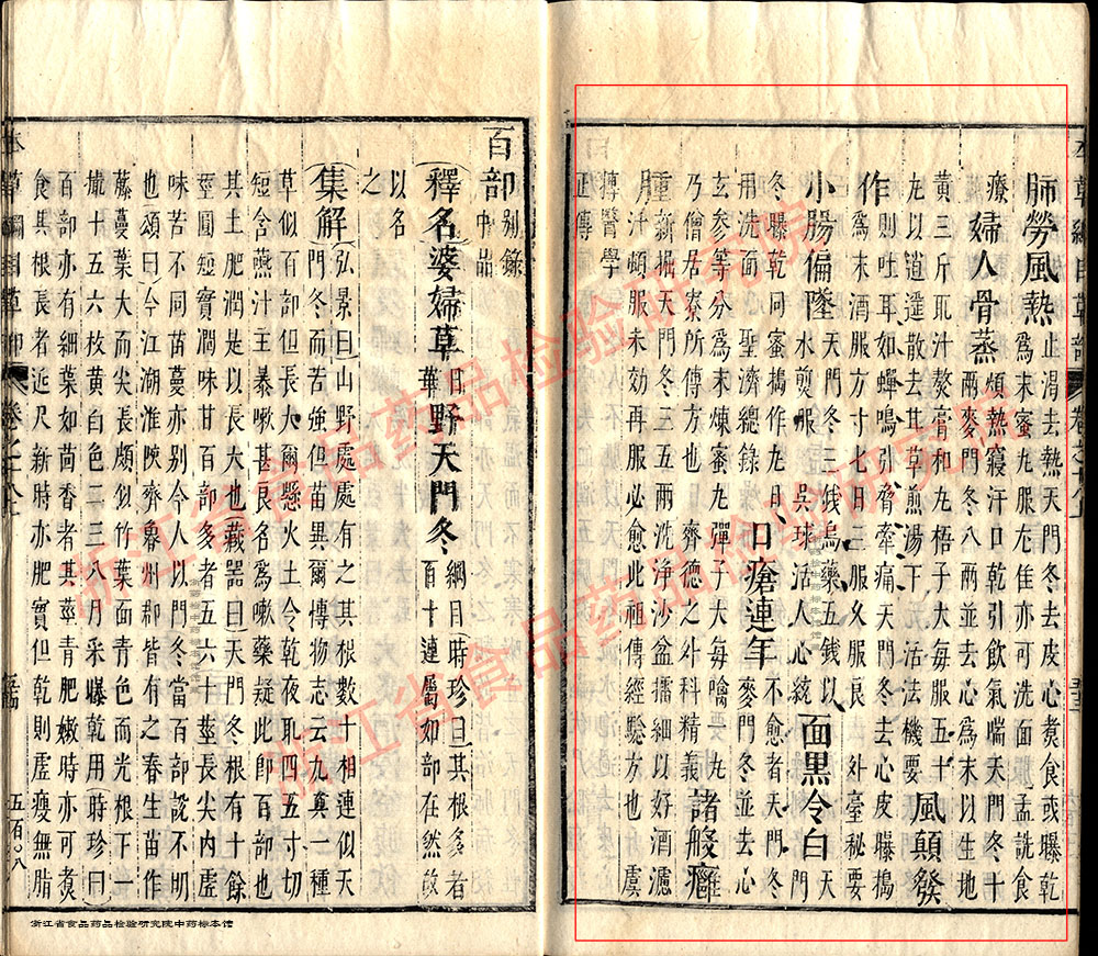 天冬 明 《本草纲目》 资料图