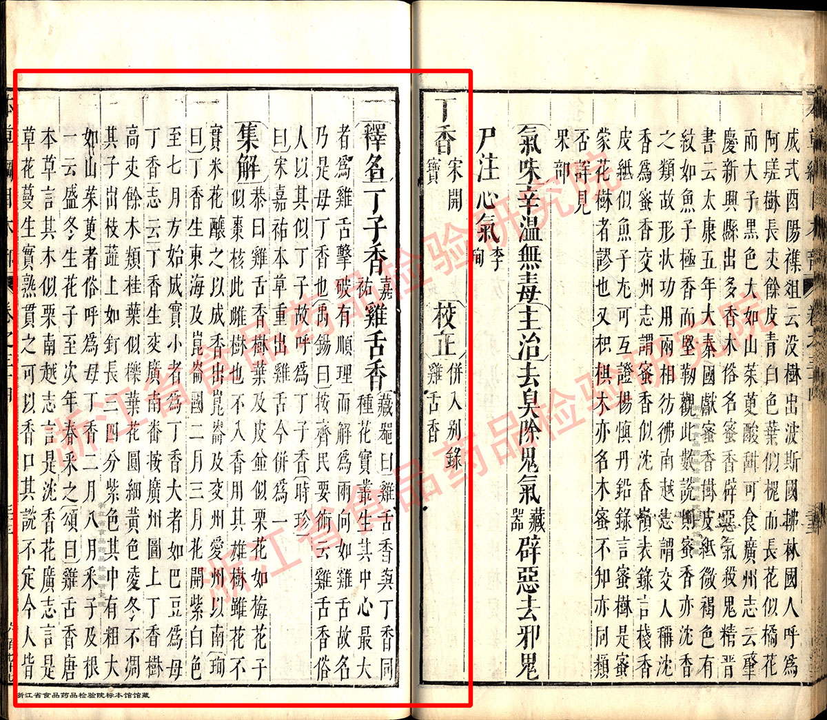 丁香 明 《本草纲目》 资料图