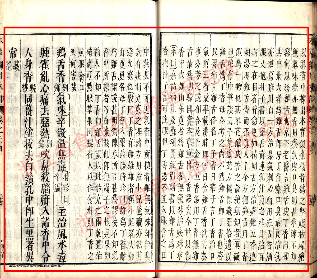 丁香 明 《本草纲目》 资料图