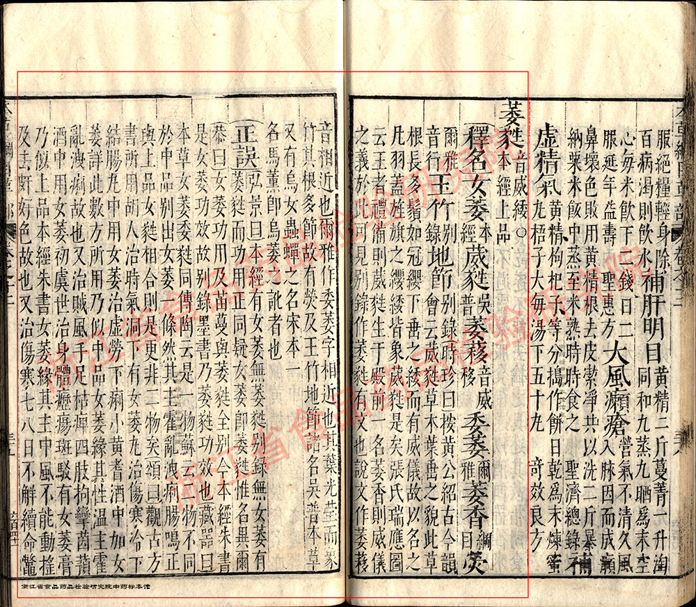 玉竹 明-《本草纲目》 资料图