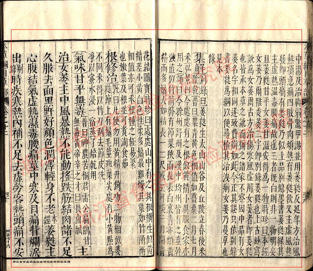 玉竹 明-《本草纲目》 资料图