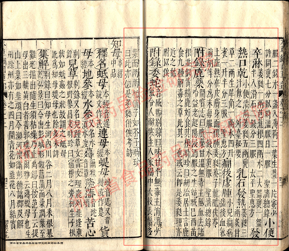 玉竹 明-《本草纲目》 资料图