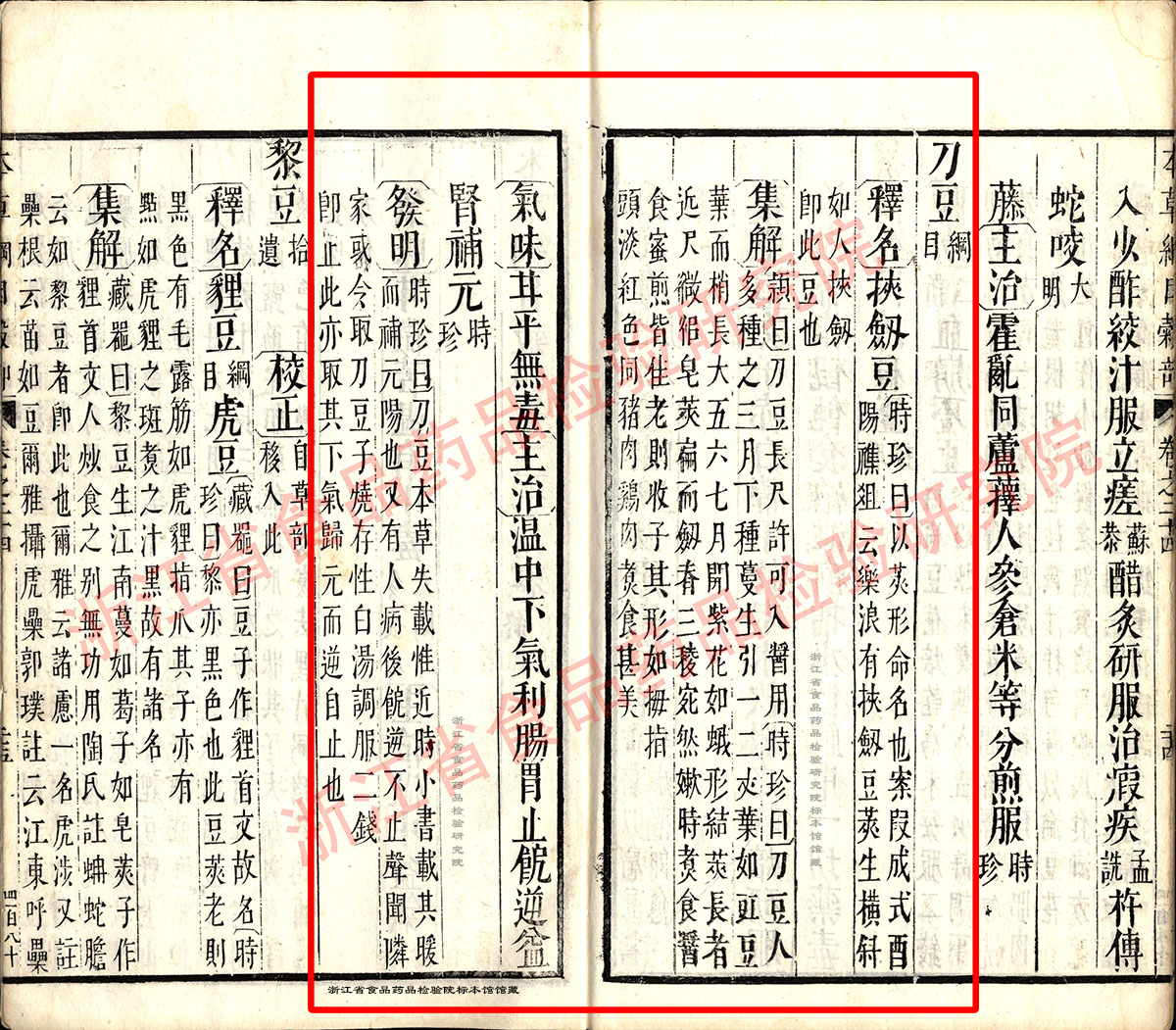 刀豆 明《本草纲目》 资料图