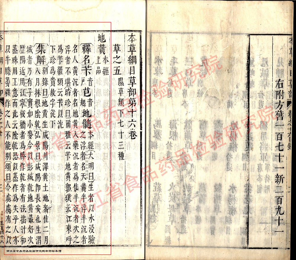地黄 明 《本草纲目》 资料图