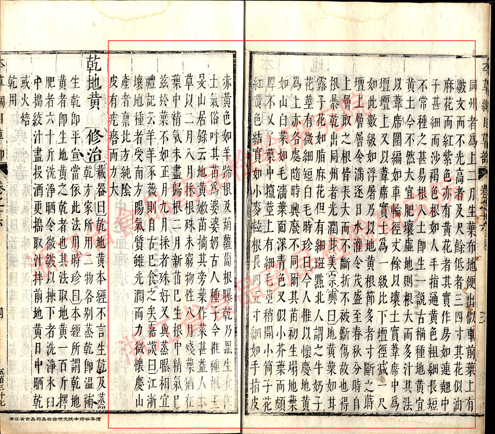 地黄 明 《本草纲目》 资料图