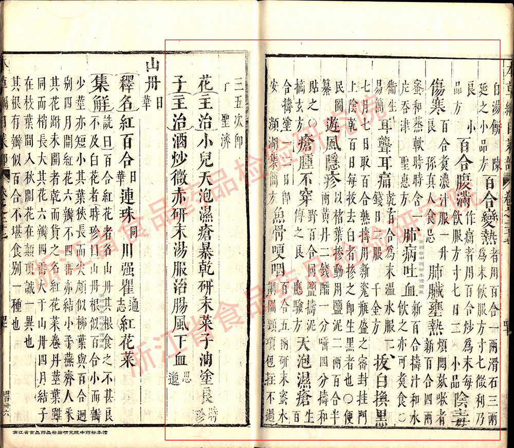 百合 明 《本草纲目》 资料图