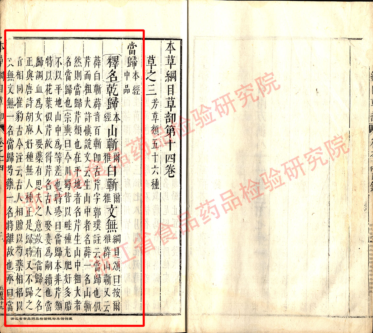 1678668164091066570.jpg 当归 明 《本草纲目》 资料图