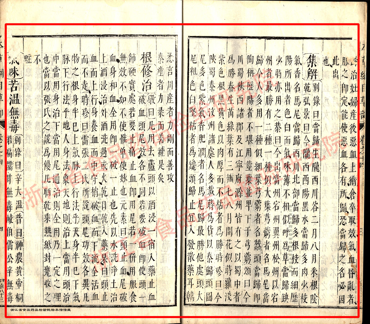 1678668175951010456.jpg 当归 明 《本草纲目》 资料图