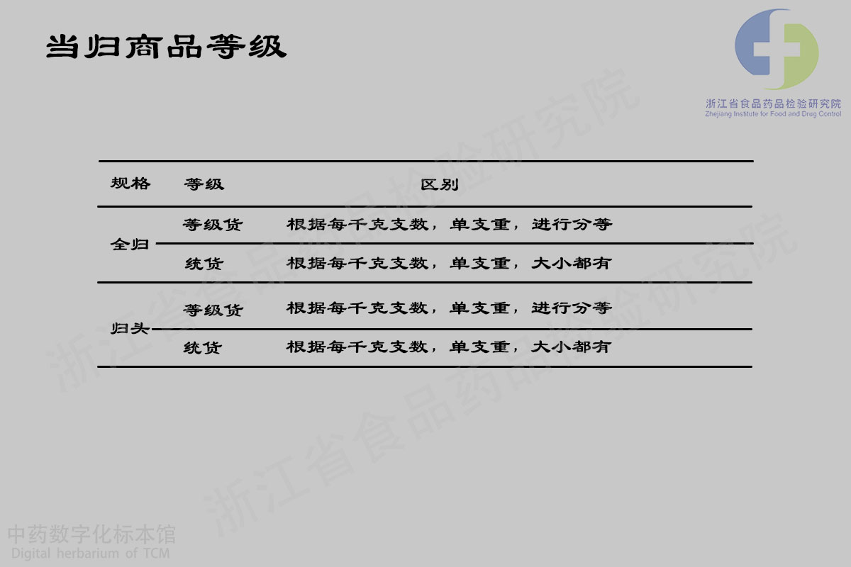 当归 药材 资料图