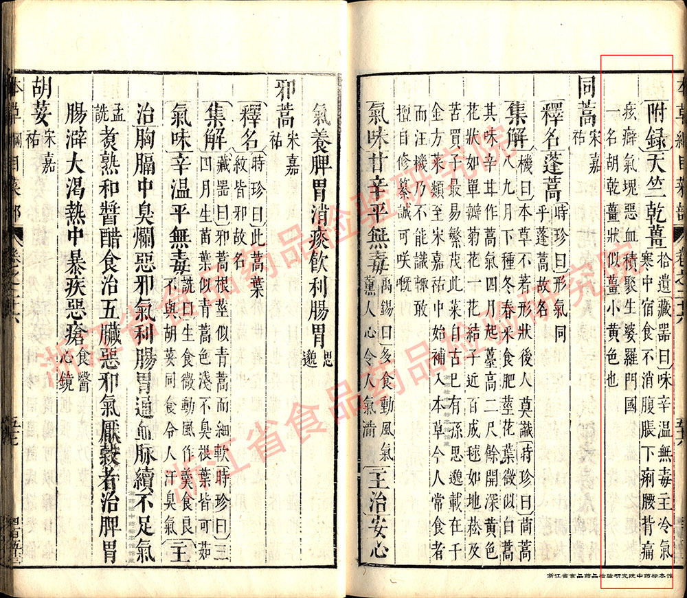 干姜 明 《本草纲目》 资料图