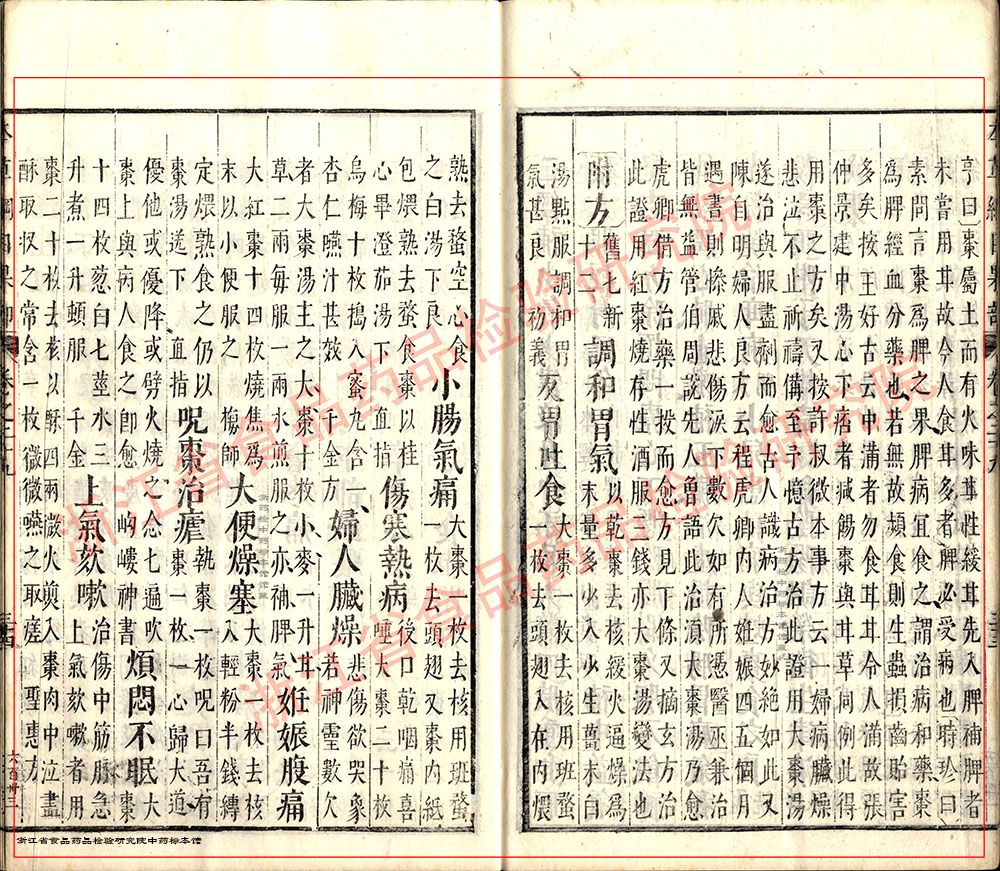 大枣 明 《本草纲目》 资料图