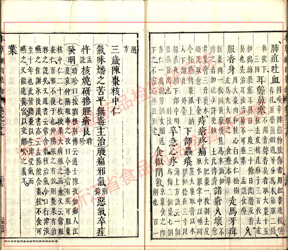 大枣 明 《本草纲目》 资料图