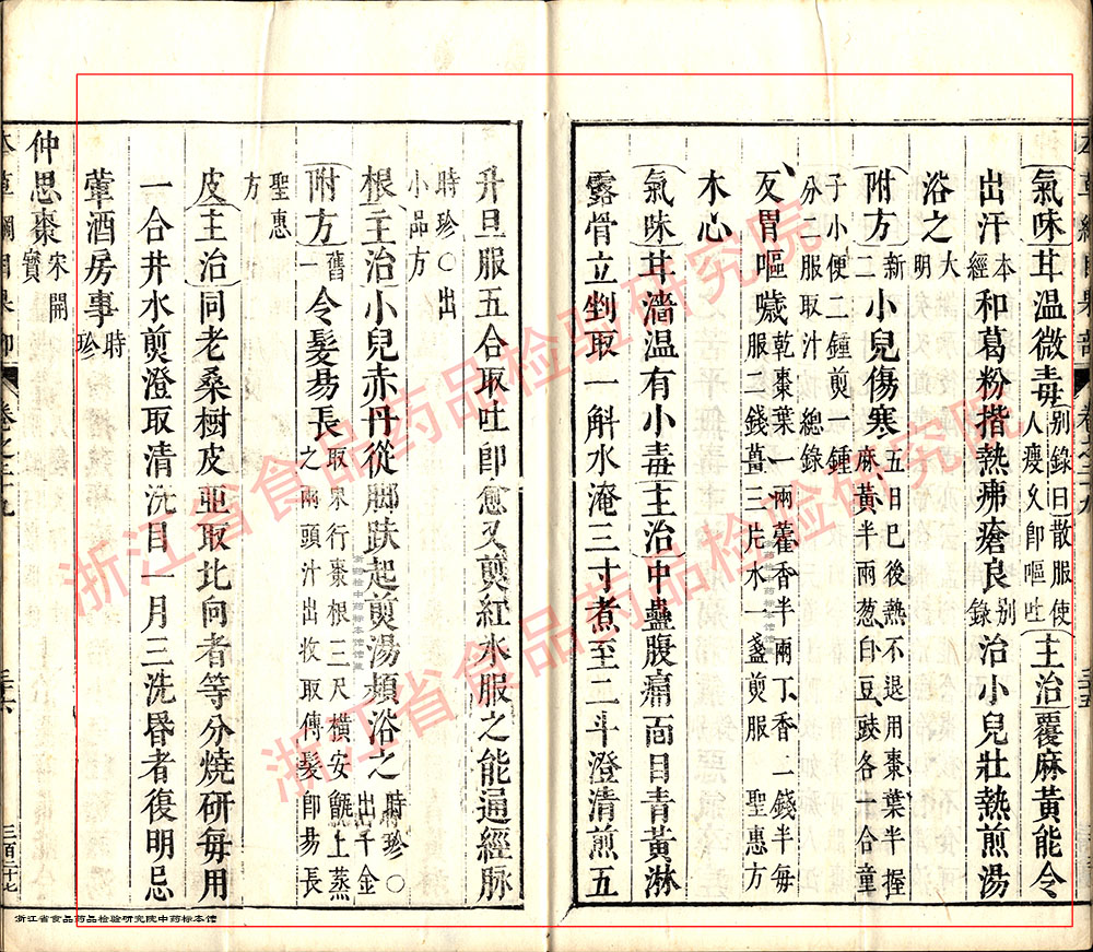 大枣 明 《本草纲目》 资料图