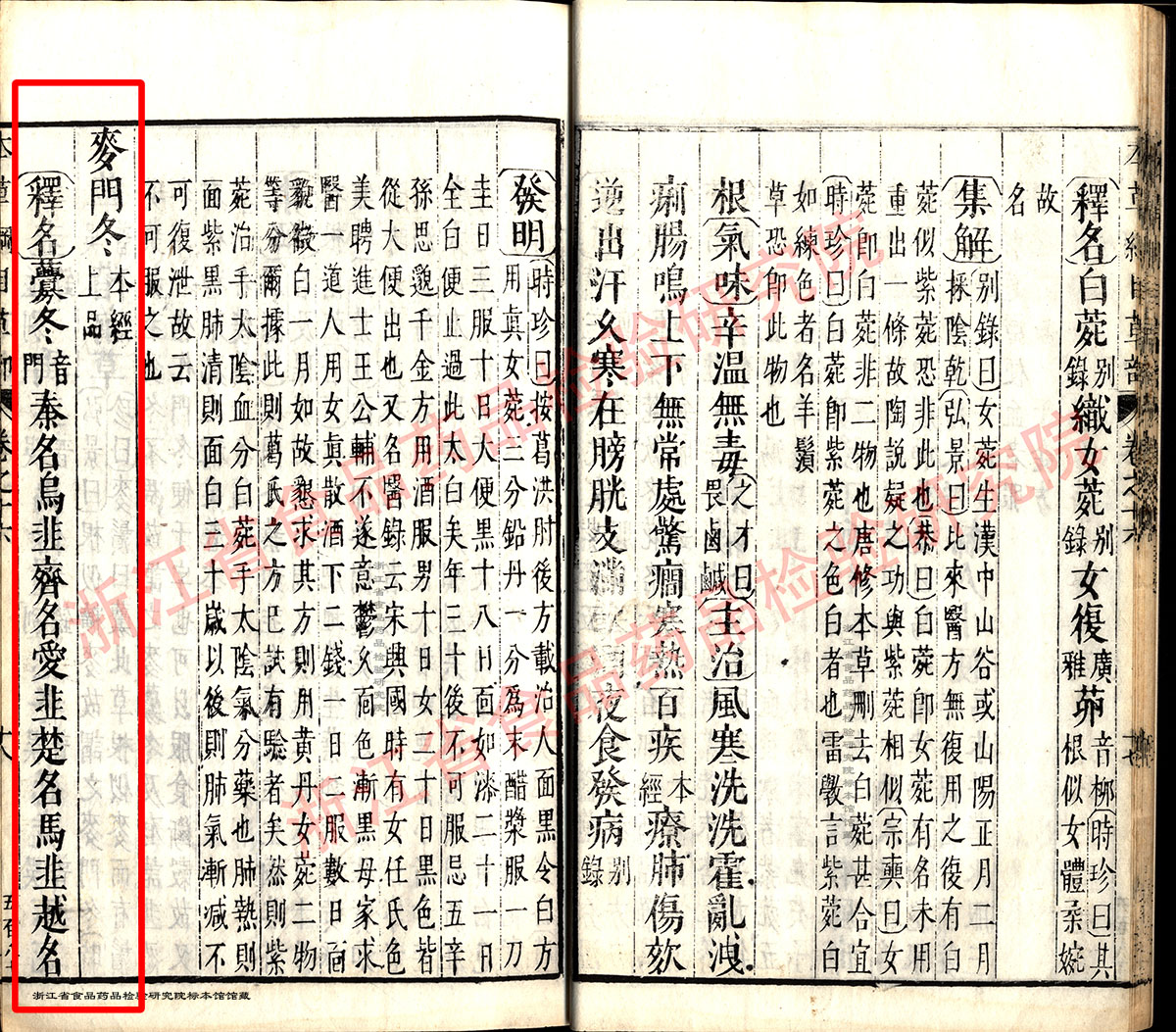 麦冬 明-《本草纲目》 资料图